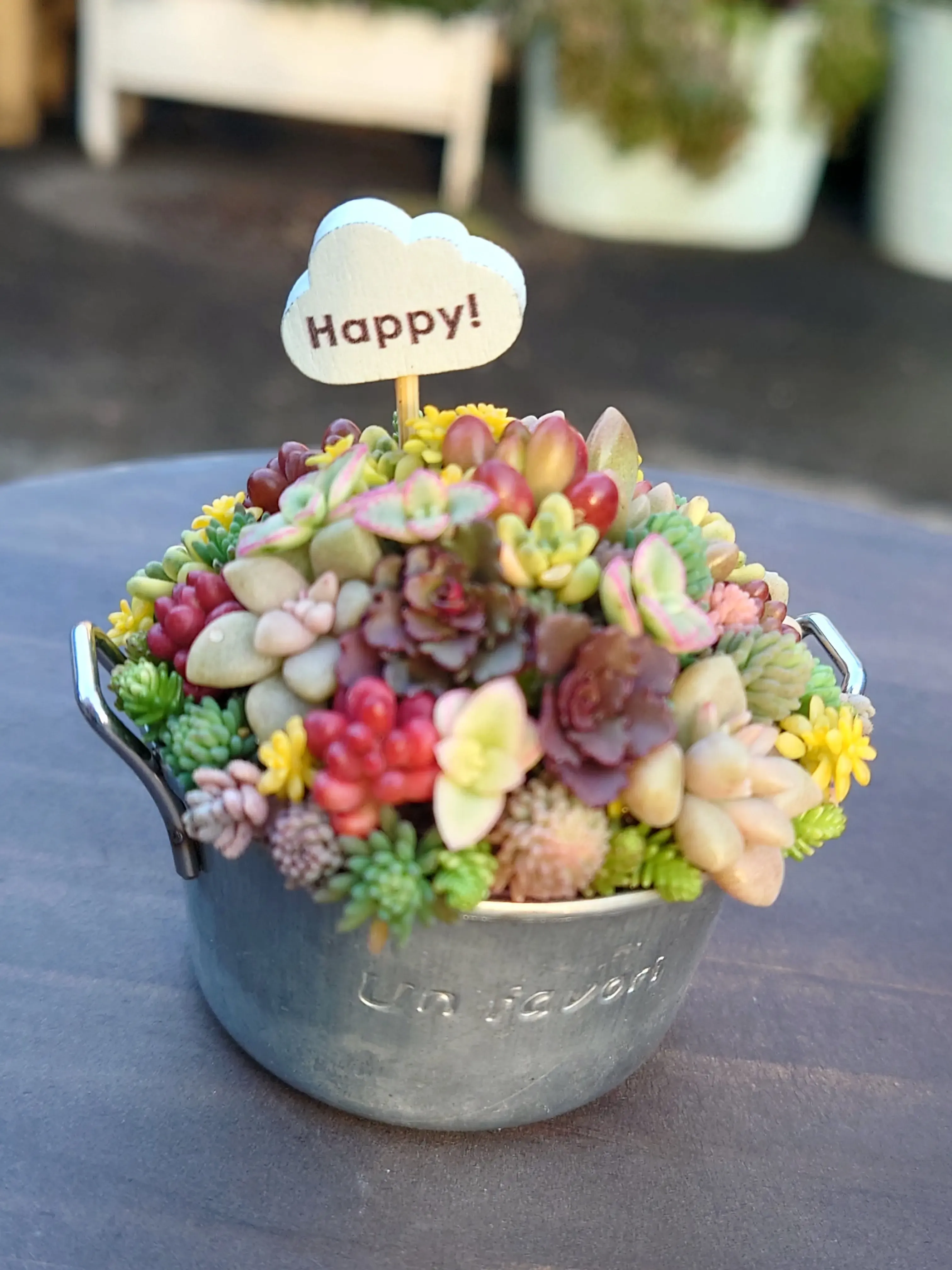 多肉植物 ちまちま寄せ植えの「絶対」成功法！驚くほど簡単な秘密テクニック